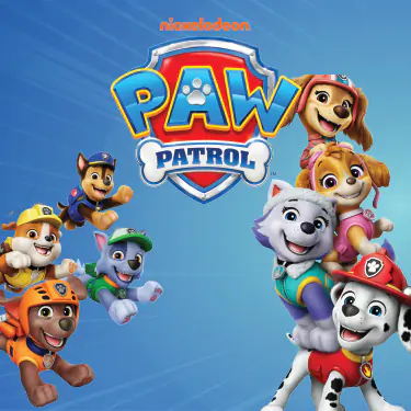 Paw Patrol Parti Seti